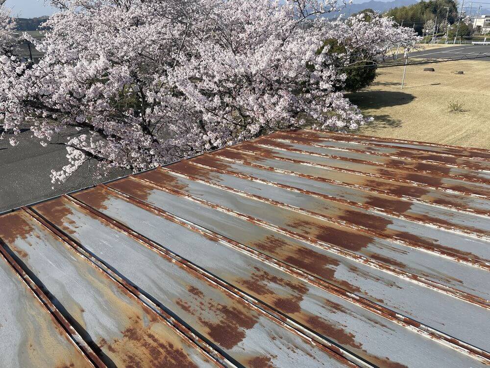 施工前3 (64) (1) 生駒市 外壁塗装 リペイント匠