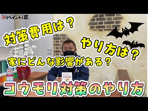 家のコウモリ対策！鳴き声や糞尿【やり方や価格】