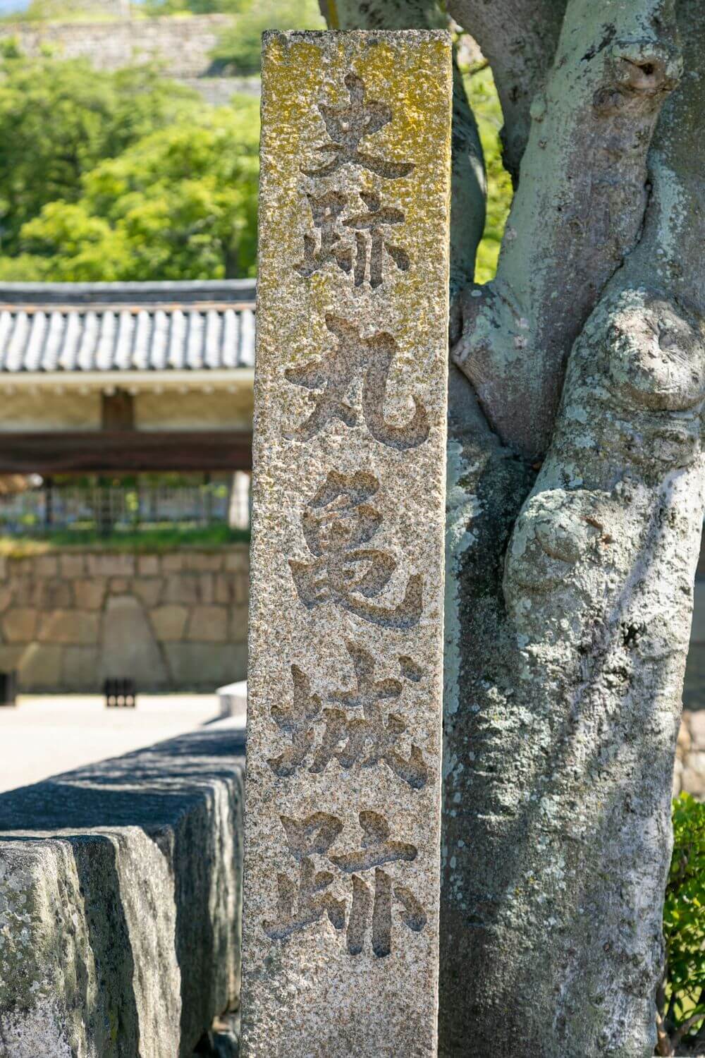 亀山城跡 リペイント匠 外壁塗装