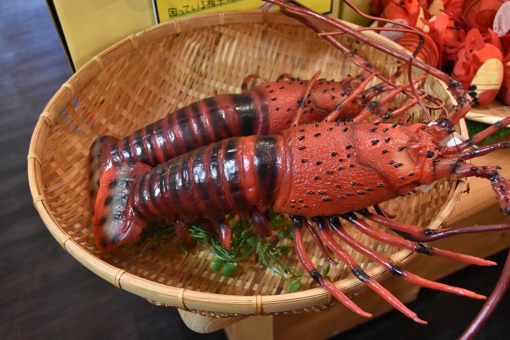 伊勢市 外壁塗装 リペイント匠