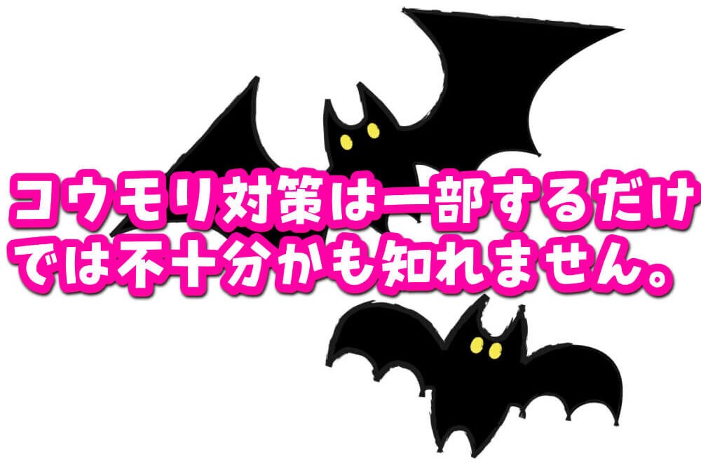 コウモリ対策は一部するだけでは不十分かも知れません。