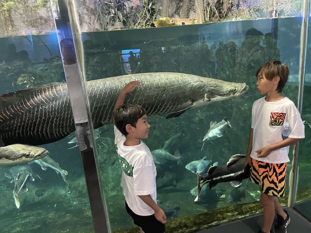 鳥羽水族館にリフレッシュしに行きました