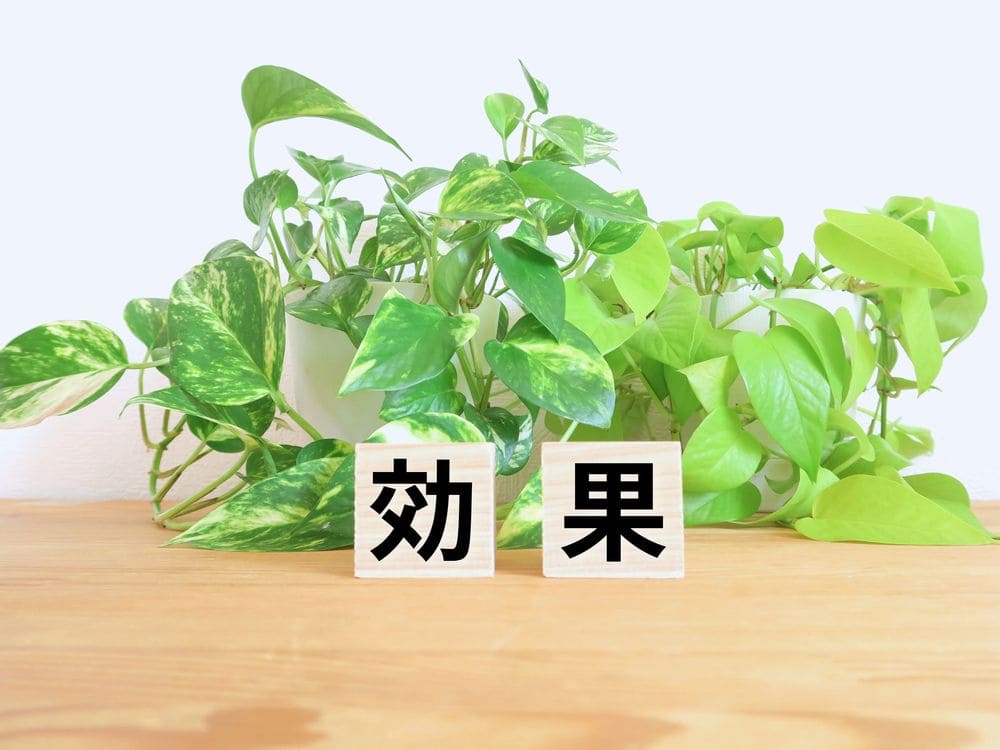 屋根　修理