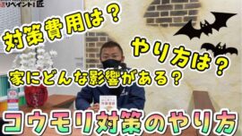【名張市】外壁塗装前に行うべきコウモリ対策！鳴き声や糞尿被害のリスクと対処法・費用相場【解説動画あり】
