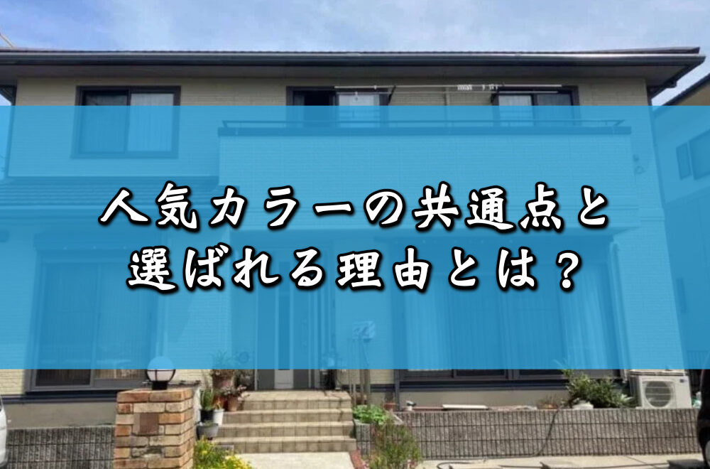 人気カラーの共通点と選ばれる理由とは?