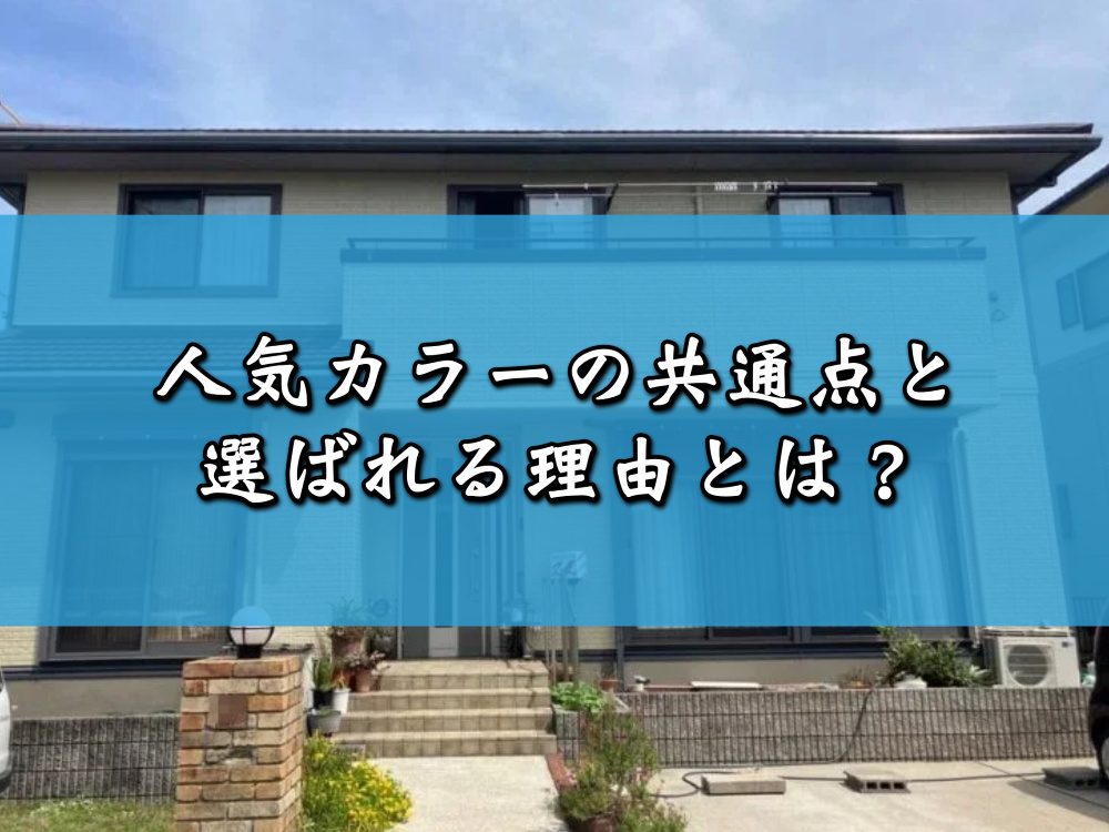人気カラーの共通点と選ばれる理由とは?