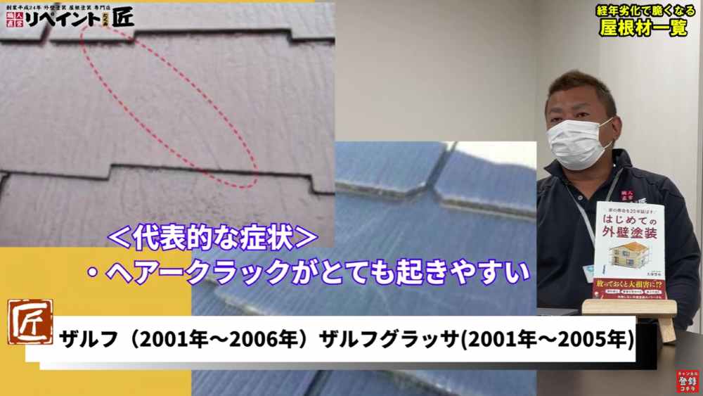 ザルフ、ザルフグラッサ（クボタ、現ケイミュー）