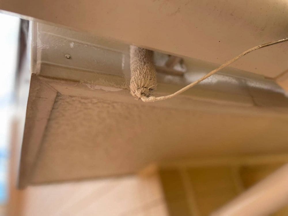 鈴鹿市の外壁塗装をリペイント匠が施工した写真