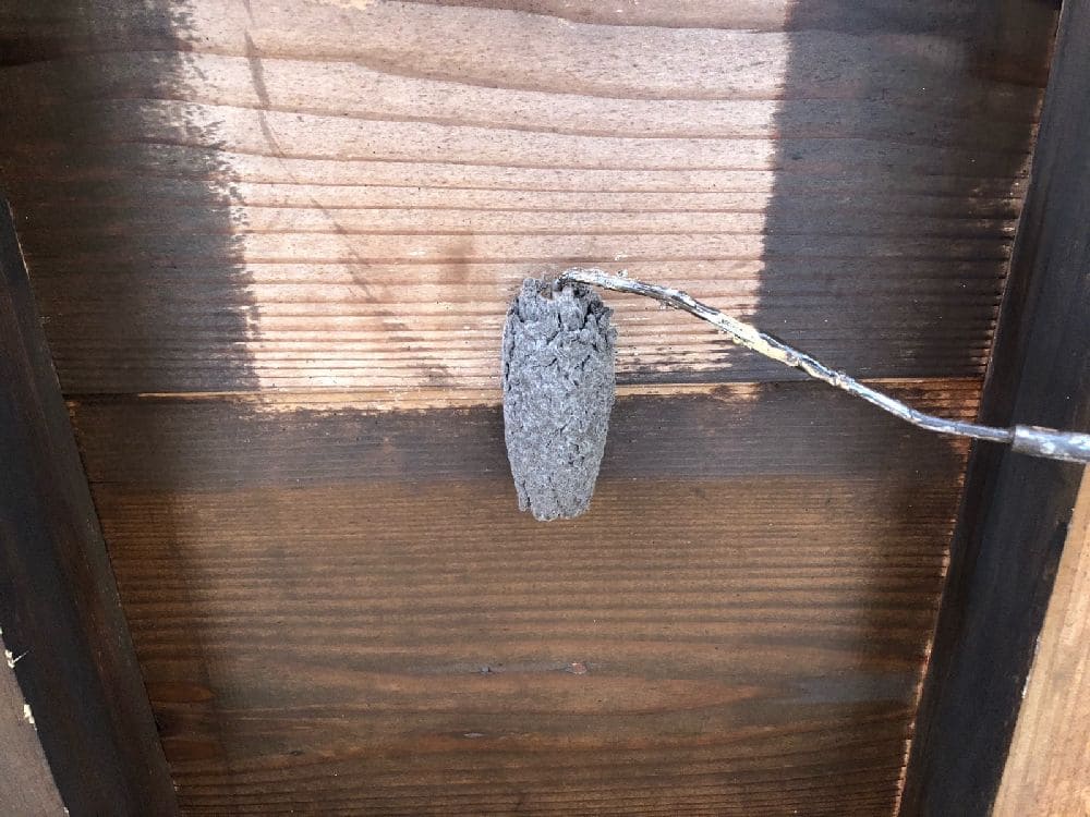 S様(津)軒天(中塗り) (2) 津市の外壁塗装をリペイント匠が施工した写真