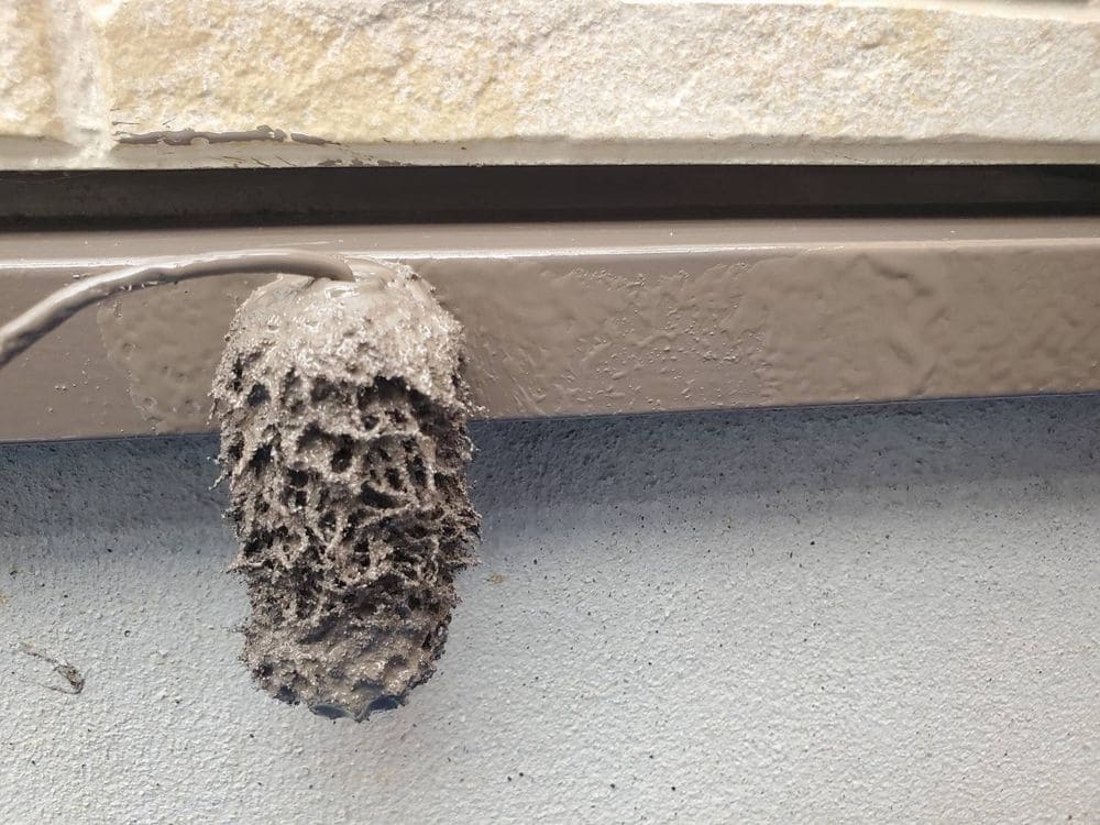 S様_鈴鹿市_水切り(上塗り) 鈴鹿市の外壁塗装をリペイント匠が施工した写真