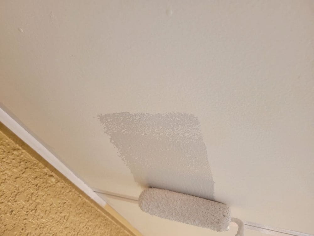 名張市の外壁塗装をリペイント匠が施工した写真