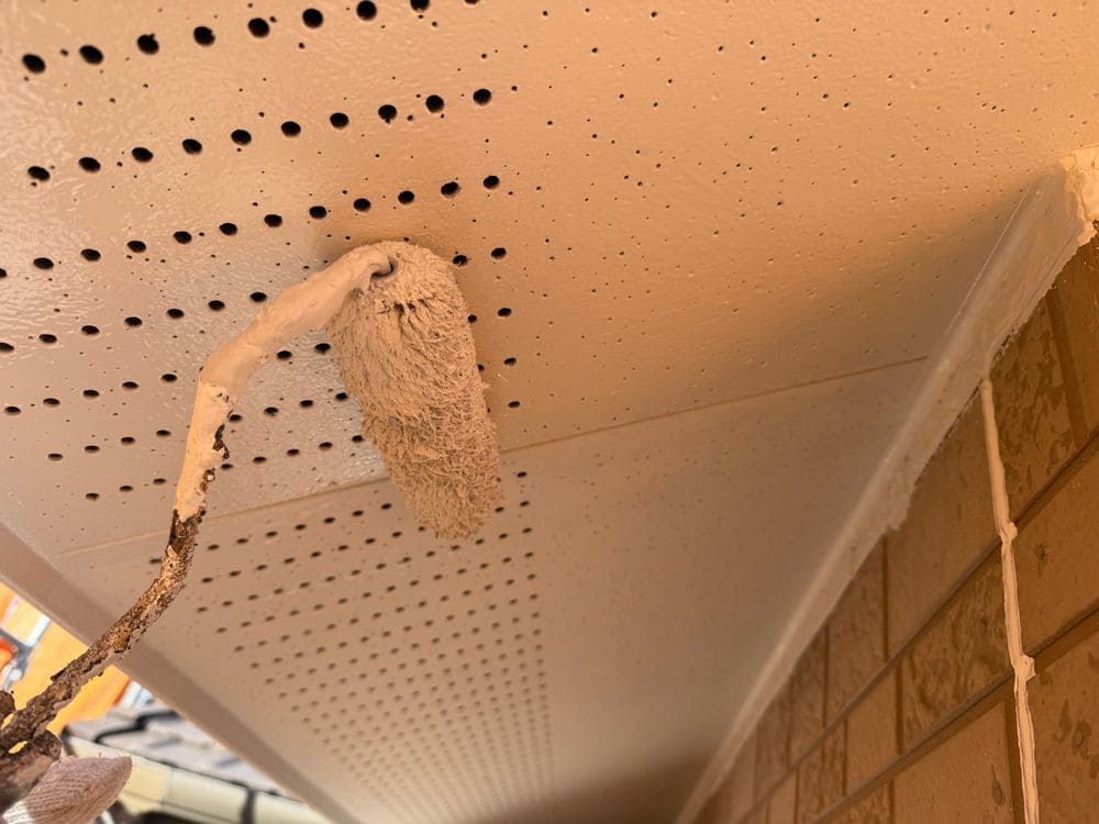 四日市市_S様_軒天(上塗り) 四日市市の外壁塗装をリペイント匠が施工した写真