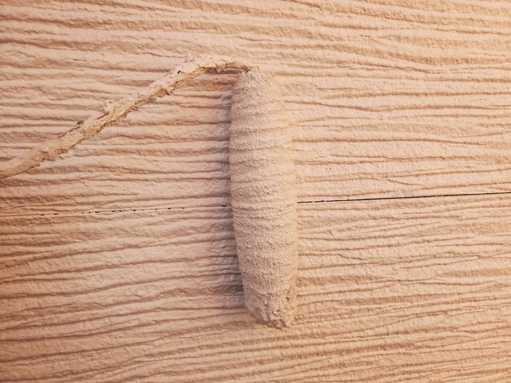 四日市市で外壁塗装をリペイント匠が施工した写真