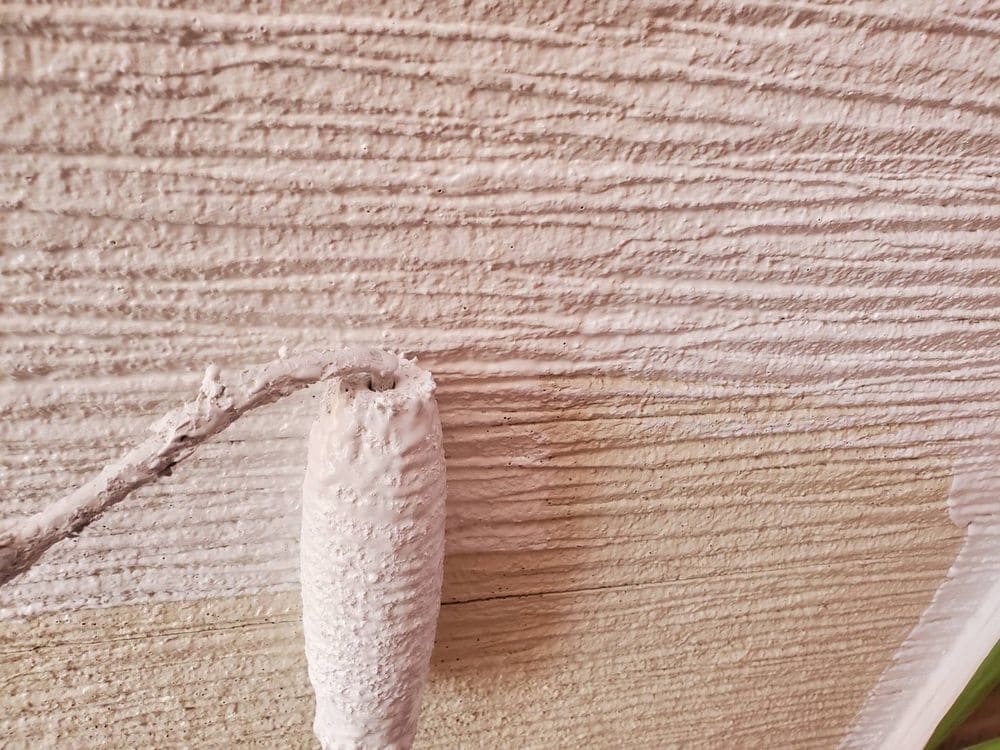 四日市市で外壁塗装をリペイント匠が施工した写真