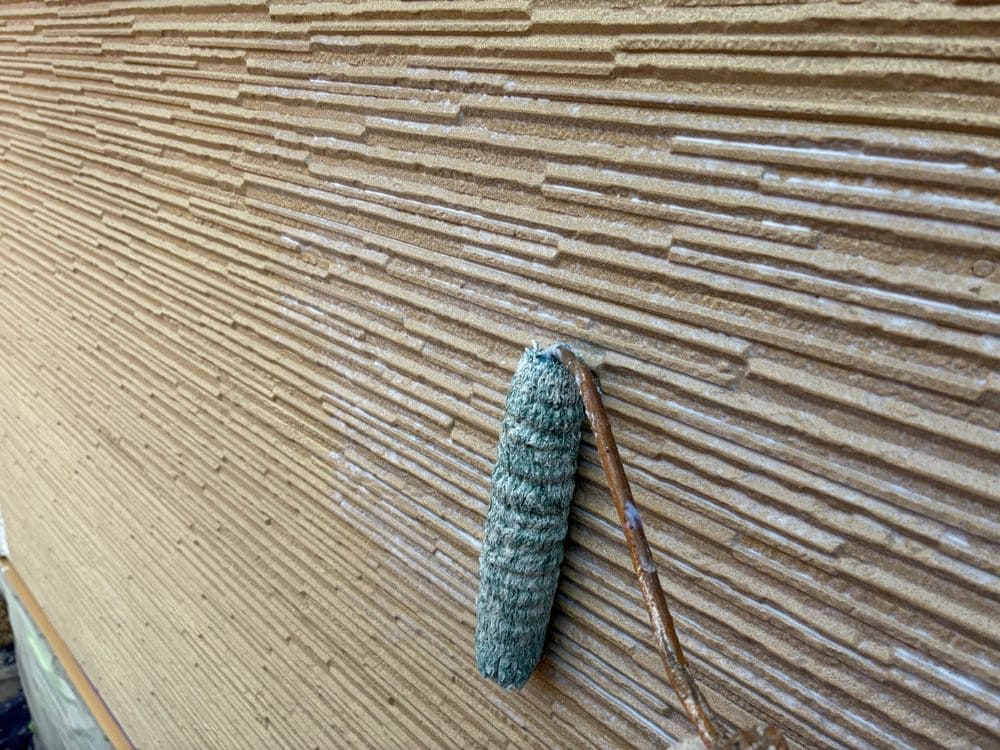 津市久居 H様下塗り (3) 津市の外壁塗装をリペイント匠が施工した写真