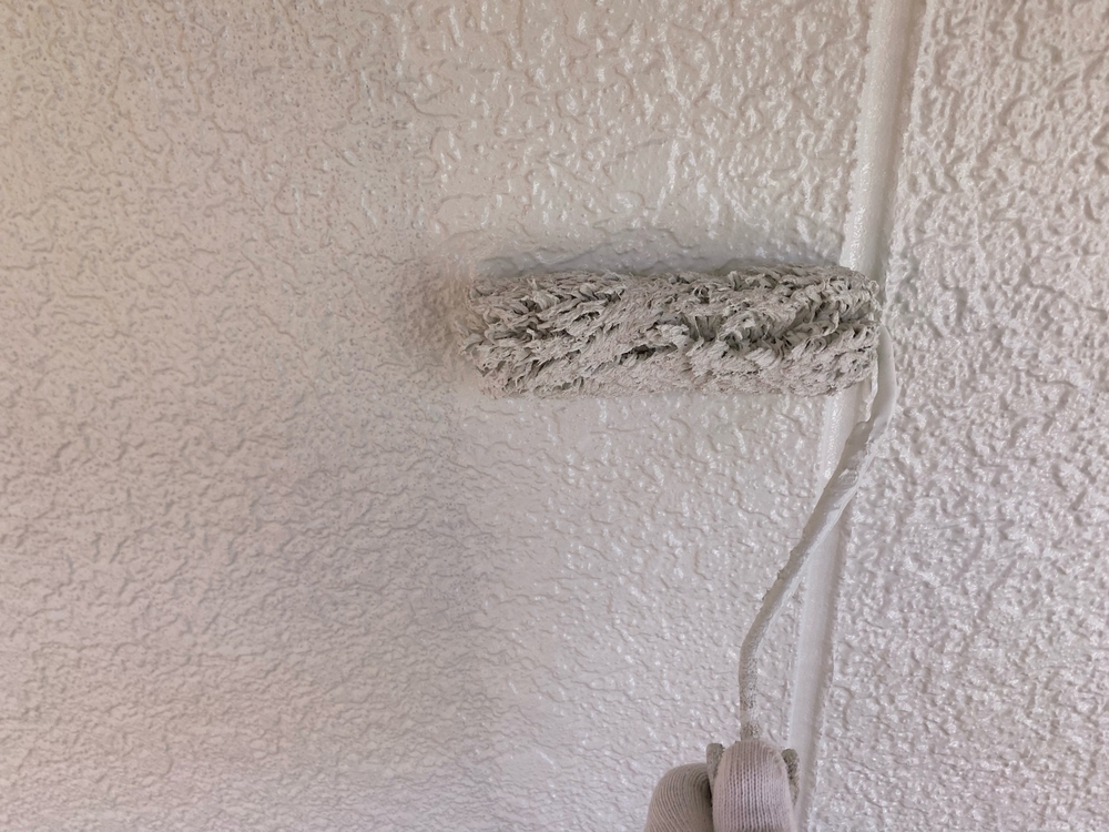 S様(津)外壁(上塗り1) (4) 津市の外壁塗装、屋根塗装をリペイント匠が施工した写真