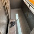 四日市市の防水工事をリペイント匠が施工した写真